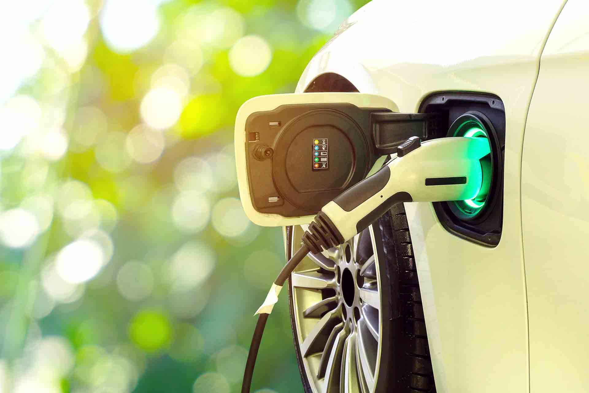 Las perspectivas del mercado mundial de vehículos eléctricos, una oportunidad sostenible para las empresas