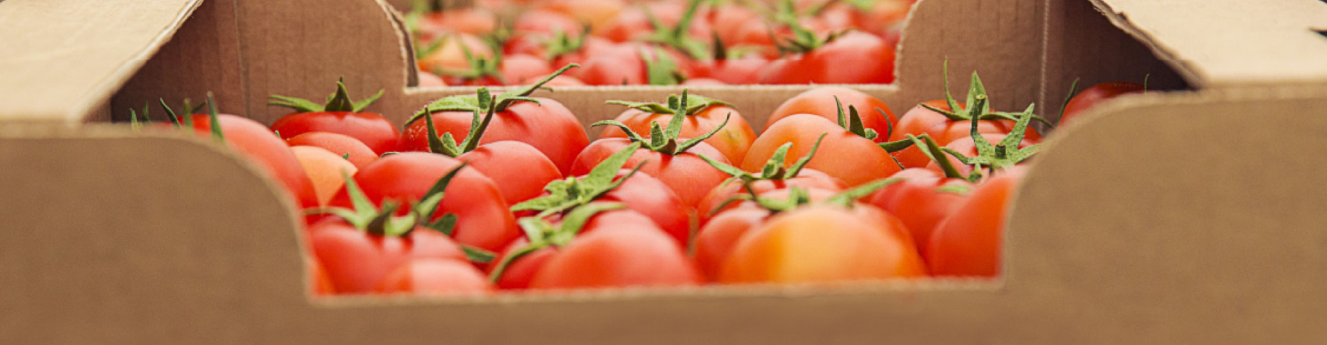 Guerra arancelaria 2025: evolución e impacto empresarial