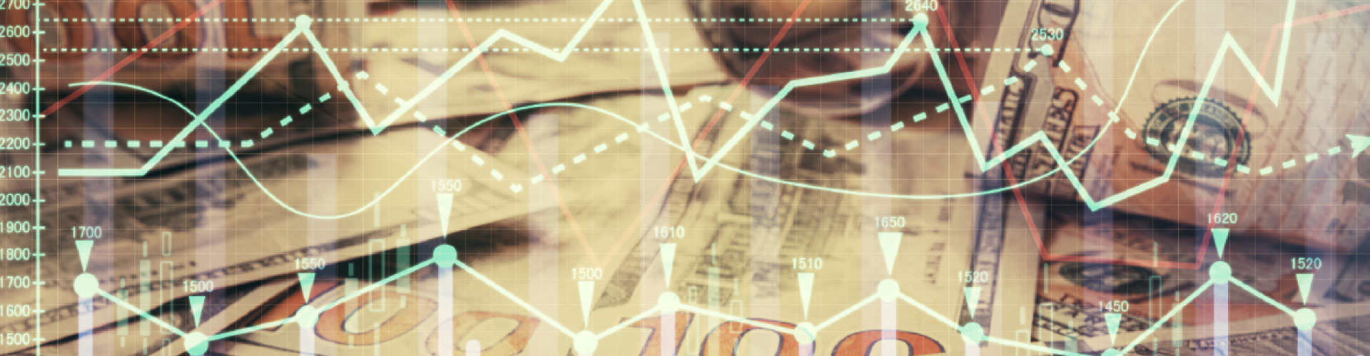 Presupuesto 2027 en divisas: cómo planificar